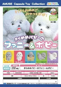 [Pre-order Nov 25] Kirameme Puppy’s Funny & Poppy