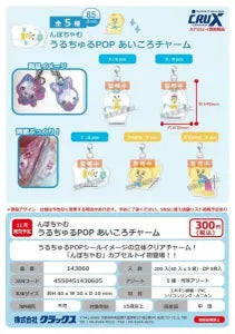 [Pre-Order Aug 26] Npochamu Uru-Churu POP Aikoro Charm