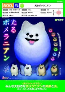 [Pre-order Nov 25] Light-Up Pomeranian
