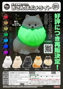 [Pre-order Nov 25] Pomeranian Light with Glowing Collar