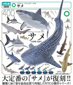 [Pre-Order Sept 26] NTC400 Shark