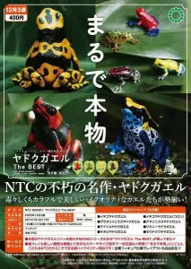 [Pre-Order Sep 25] NTC MONO+ Poison Dart Frog The BEST (Reissue)