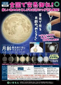 [Pre-order Nov 25] STC Moon Phase Glow-in-the-Dark Mark Mascot