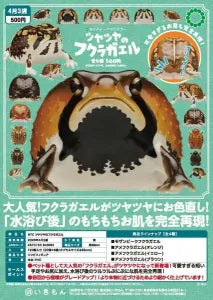 [Pre-order Dec 25] NTC Shiny Fukuragaeru (Frog) Plush