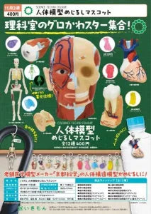 [Pre-Order Aug 26] STC Human Anatomy Model Marker Mascot