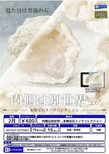 [Pre-order Nov 25] 400CP Inside Is Another World… Genuine Gem Agate Collection