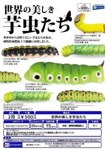 [Pre-order Nov 25] Beautiful Caterpillars of the World