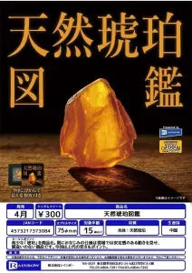 [Pre-order Jan 26] Natural Amber Encyclopedia