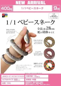 [Pre-Order Jun 26] 1/1 Baby Snake