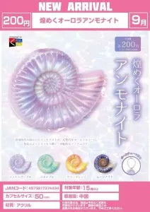 [Pre-Order Jun 26] Shimmering Aurora Ammonite