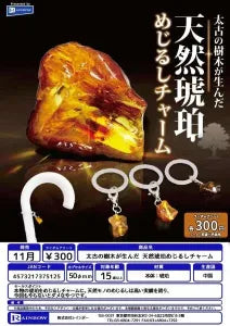 [Pre-Order Aug 26] Natural Amber Marker Charm Born from Ancient Trees