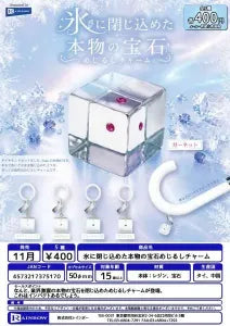 [Pre-Order Aug 26] Genuine Gemstone Frozen in Ice Marker Charm