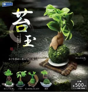 [Pre-Order Sept 26] Kokedama Miniature Collection
