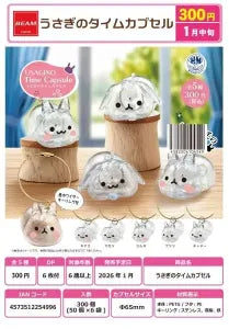 [Pre-order Oct 25] Rabbit Time Capsule