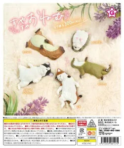 [Pre-Order Sep 25] Suyasuya sleepy