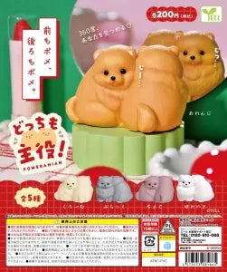 [Pre-order Nov 25] Both Are the Star! Pomeranian