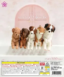 [Pre-order Nov 25] Sleeping Together Dog