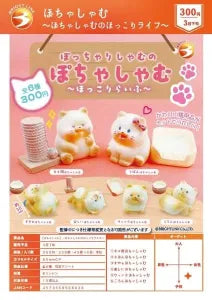 [Pre-order Dec 25] Pochashamu – Cozy Life –