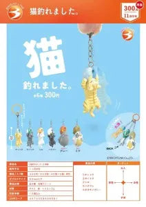 [Pre-Order Aug 26] Caught a Cat.