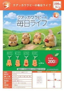 [Pre-Order Jun 26] Quokka Wallaby's Everyday Life