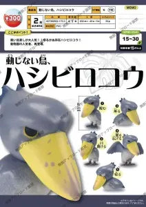 [Pre-order Oct 25] Unshakable Bird, Shoebill