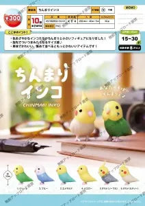 [Pre-Order Jun 26] Tiny Parakeet