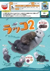 [Pre-Order Jun 26] Sea Otter 2
