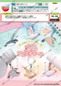 [Pre-Order Aug 26] Java Sparrow Appeal Charm