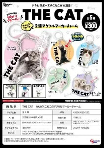 [Pre-Order Jul 26] THE CAT Playful Kittens Acrylic Marker Charm