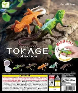 [Pre-order Jan 26] Lizard Collection