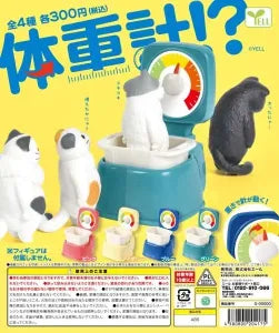 [Pre-Order Aug 26] Body Scale!?