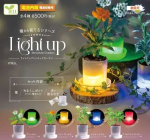 [Pre-Order Sept 26] Light-Up Miniature Garden