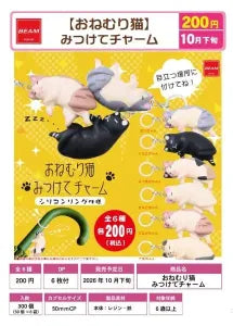 [Pre-Order Jul 26] Sleepy Cat Find-Me Charm