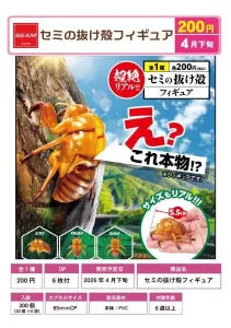 [Pre-order Jan 26] Cicada Shell Figure