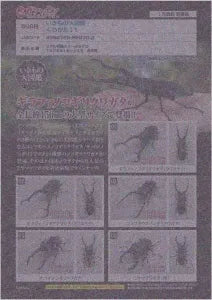 [Pre-order Oct 25] Great Animal Encyclopedia: Stag Beetle 11