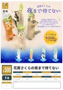 [Pre-Order Jul 26] Sakura Hanafusa: Can't Wait Until Night