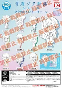 [Pre-Order Jul 26] Rascal Does Not Dream Series Acrylic Photo Keychain