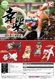 [Pre-Order Aug 26] SACHISHIBA