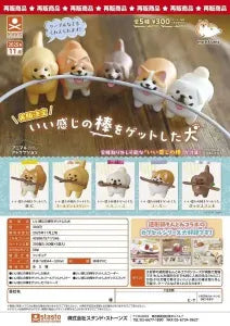 [Pre-Order Aug 25] Dog Who Got a Nice Stick