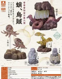 [Pre-Order Sep 25] Octopus, Squid
