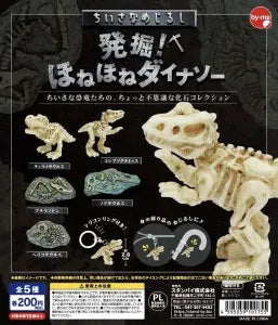 [Pre-Order Jul 26] Tiny Marker Charm: Dig It Up! Skeleton Dinosaurs