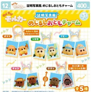 [Pre-Order Sept 26] PUI PUI MOLCAR ID Photo-Style Marker Companion Charm