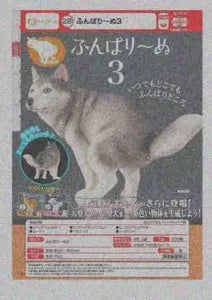 [Pre-order Nov 25] Funbarīnu 3