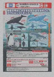 [Pre-order Nov 25] Ice Life – Creatures of the Frozen World