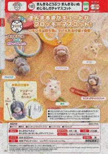 [Pre-order Dec 25] Perfectly Round Animals – Round Dog Marker Gacha Mascots