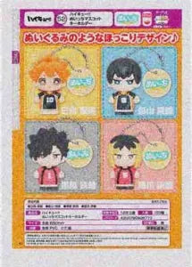 [Pre-Order Sept 26] HAIKYU!! Nuiicchi Mascot Keychain