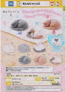 [Pre-Order Jun 26] Curled-Up Cat Ammonite 2