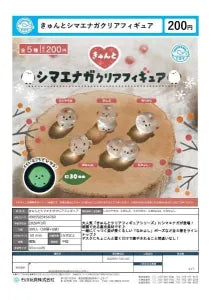 [Pre-order Nov 25]  Kyunto Shimaenaga Clear Figure