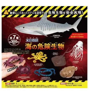[Pre-Order Sept 26] 3D Encyclopedia of Dangerous Sea Creatures