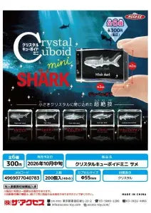 [Pre-Order Jul 26] Crystal Cuboid Mini Shark